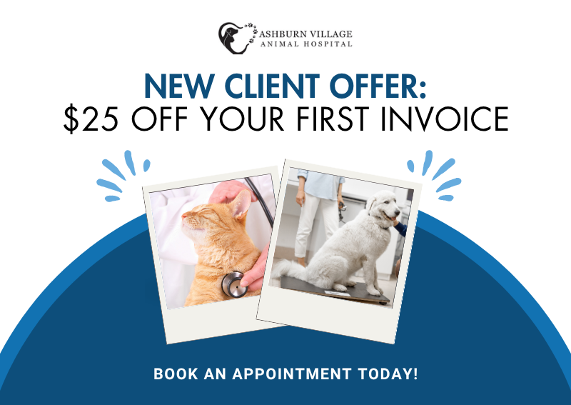 Carousel Slide 1: New clients will receive $25.00 off for their first wellness exam for their pet! Terms apply. Book Today >