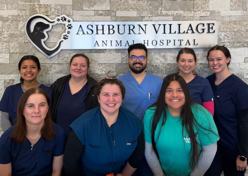 Carousel Slide 1: Behind every wagging tail and purring patient is a team that truly cares.